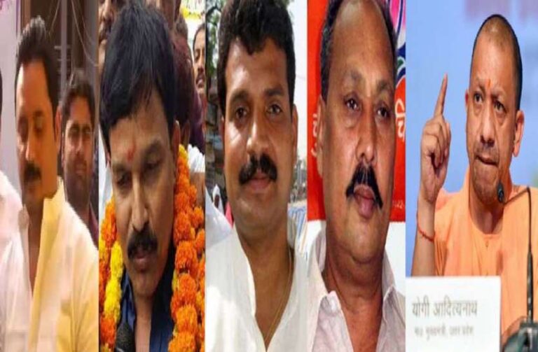 ब्लाक प्रमुख चुनाव में भाजपा का रहा दबदबा