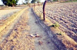 काम हुआ नहीं, निकाला गया रुपया