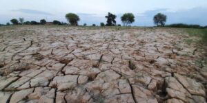 मुख्यमंत्री के आदेश की धज्जियां उड़ा रहे अधिकारी