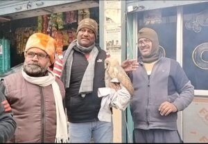 अद्भुत प्रजाति का बड़े आकार का उल्लू ,लंदन से आजमगढ़ आया