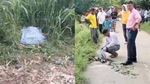 आजमगढ़ में खेत में मिला युवती का शव, दुपट्टे से गला कस कर हत्या की आशंका